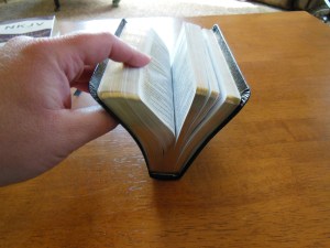 Bible Review NKJV Compact Large Print Holman 020