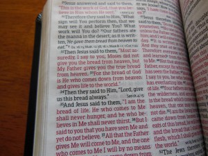 Bible Review NKJV Compact Large Print Holman 021