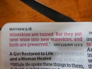 Bible Review NKJV Compact Large Print Holman 022