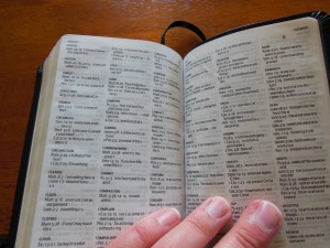 Bible Review NKJV Compact Large Print Holman 025