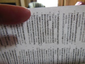 Bible Review NKJV Compact Large Print Holman 027