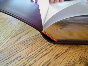 nasb lockman bible review 011