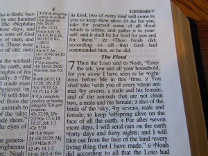 nasb lockman bible review 018