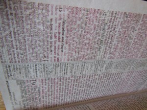 nasb lockman bible review 021