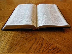 nasb lockman bible review 022