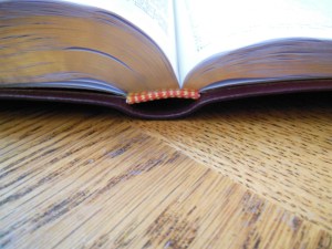 nasb lockman bible review 025