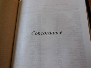 nasb lockman bible review 026