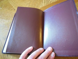 nasb lockman bible review 029