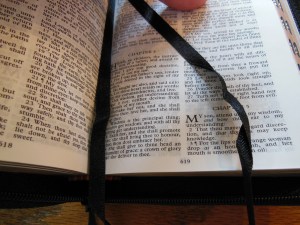 tbs and nkjv study bible 014