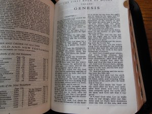 tbs and nkjv study bible 024