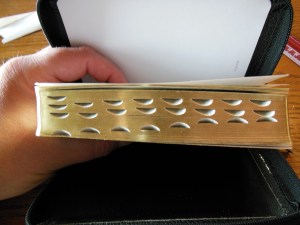 tbs and nkjv study bible 027