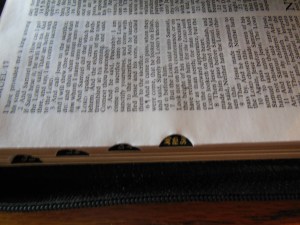 tbs and nkjv study bible 028