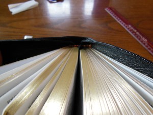 tbs and nkjv study bible 029