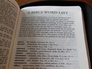 tbs and nkjv study bible 030