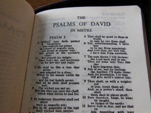 tbs and nkjv study bible 034