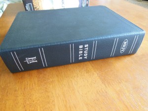 tbs and nkjv study bible 041
