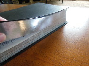 tbs and nkjv study bible 042