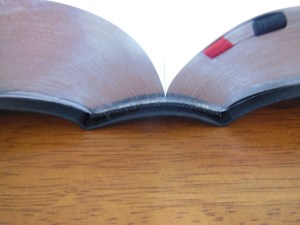 tbs and nkjv study bible 045