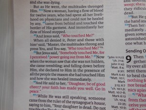 tbs and nkjv study bible 048