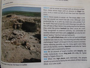 tbs and nkjv study bible 059