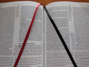 tbs and nkjv study bible 060