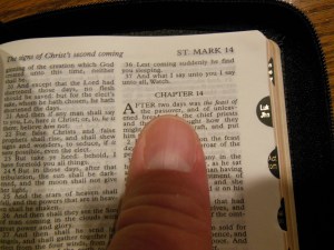 tbs and nkjv study bible 080