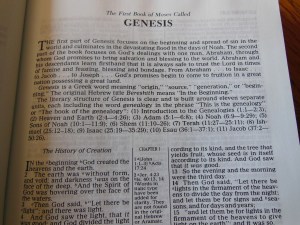 Holman NKJV Thinline reference calfskin brown 026