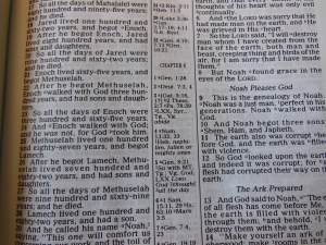 Holman NKJV Thinline reference calfskin brown 027