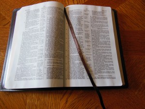 Holman NKJV Thinline reference calfskin brown 028