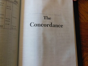 Holman NKJV Thinline reference calfskin brown 033