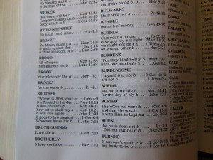 Holman NKJV Thinline reference calfskin brown 034