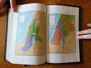 Holman NKJV Thinline reference calfskin brown 036