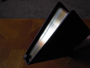 Holman NKJV Thinline reference calfskin brown 038