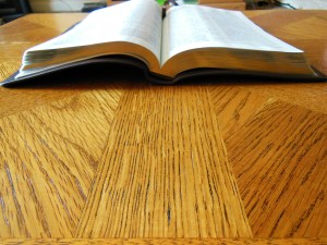 Holman NKJV Thinline reference calfskin brown 041