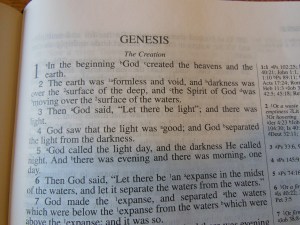 NASB Reference Bible Genuine Calfskin Black 025