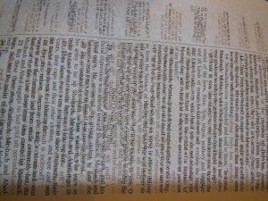 NASB Reference Bible Genuine Calfskin Black 026