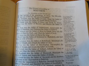 NASB Reference Bible Genuine Calfskin Black 027