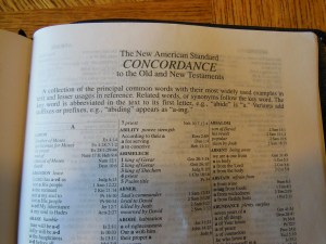 NASB Reference Bible Genuine Calfskin Black 029