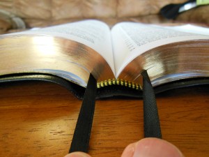 NASB Reference Bible Genuine Calfskin Black 053