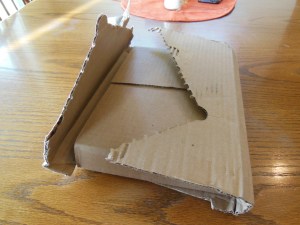 Cambridge pitt minion 001