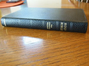 Cambridge pitt minion 008