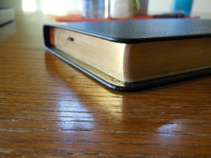 Cambridge pitt minion 009