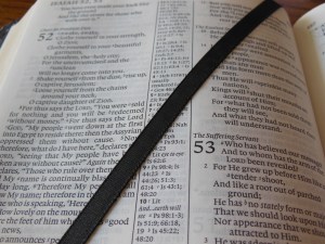 Cambridge pitt minion 017