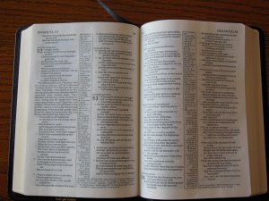 Cambridge pitt minion 019