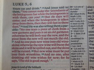 Cambridge pitt minion 023