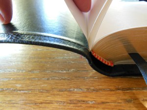 Cambridge pitt minion 025