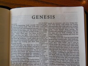 Cambridge pitt minion 036