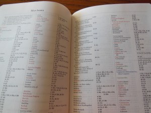 Cambridge pitt minion 040