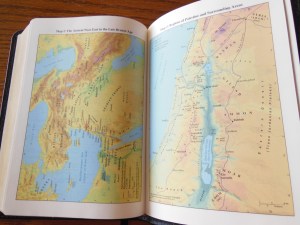 Cambridge pitt minion 041