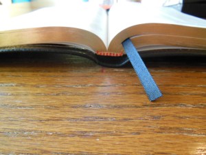 Cambridge pitt minion 045